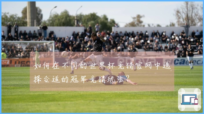 如何在不同的世界杯竞猜官网中选择合适的冠军竞猜玩法？