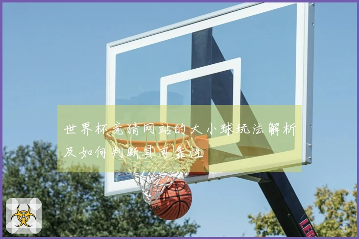 世界杯竞猜网站的大小球玩法解析及如何判断其可靠性