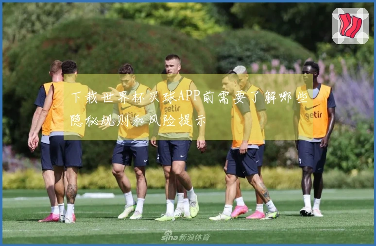 下载世界杯买球APP前需要了解哪些隐秘规则和风险提示