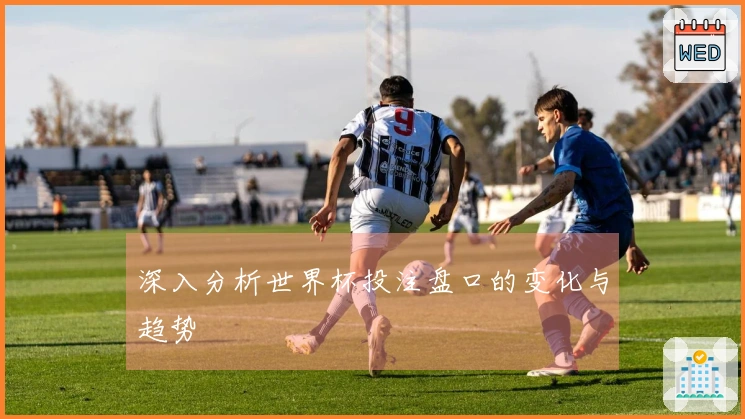 深入分析世界杯投注盘口的变化与趋势