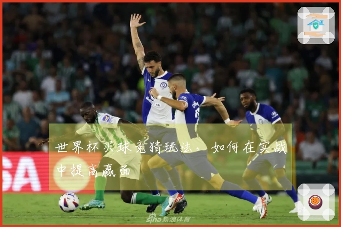 世界杯买球竞猜玩法，如何在实战中提高赢面