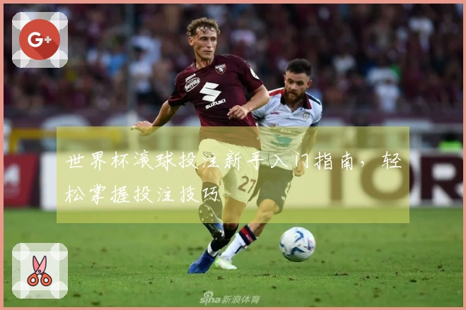 世界杯滚球投注新手入门指南，轻松掌握投注技巧