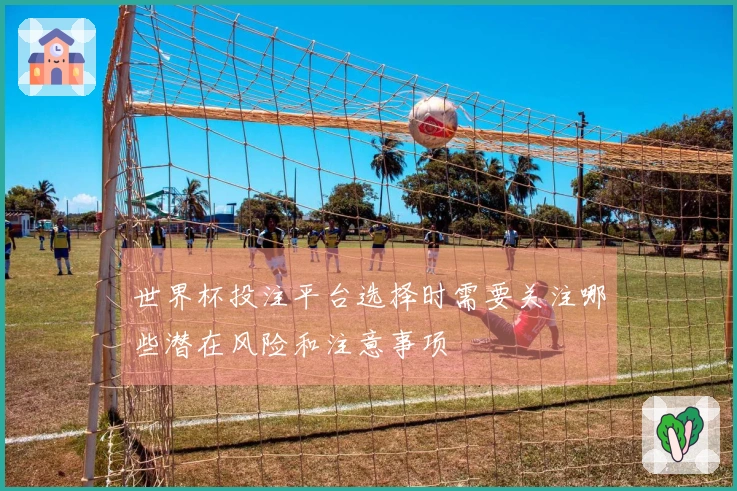 世界杯投注平台选择时需要关注哪些潜在风险和注意事项