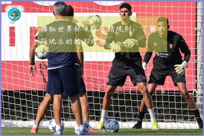 揭秘世界杯滚球竞猜规则，了解不同玩法的精彩对比