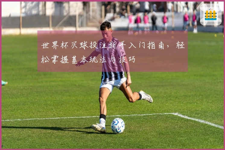 世界杯买球投注新手入门指南，轻松掌握基本玩法与技巧