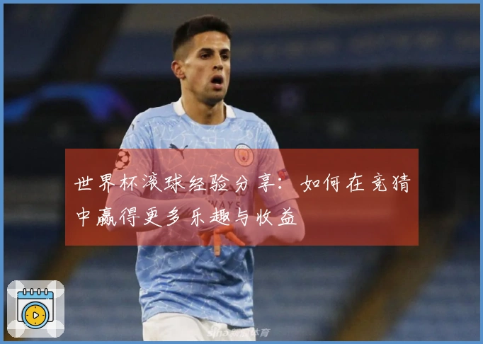 世界杯滚球经验分享：如何在竞猜中赢得更多乐趣与收益